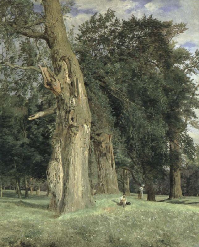 Ferdinand Georg Waldmuller old elms in prater France oil painting art